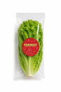 Lettuce | خس